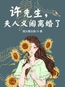 許先生,夫人又鬧離婚了